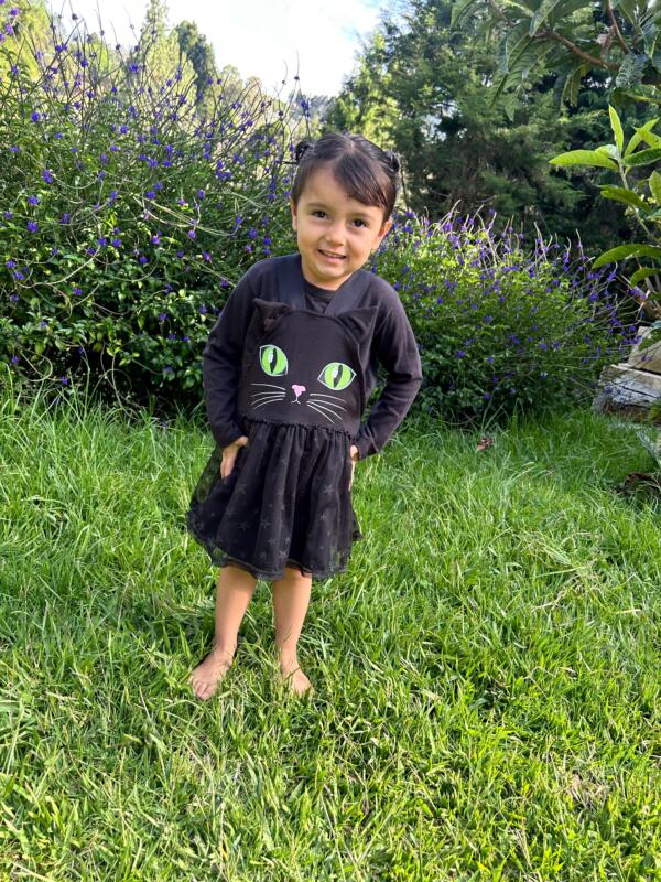 VESTIDO GATITA - Image 4
