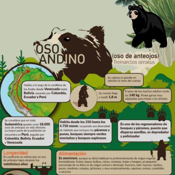 OVEROL OSO ANTEOJOS - Image 5