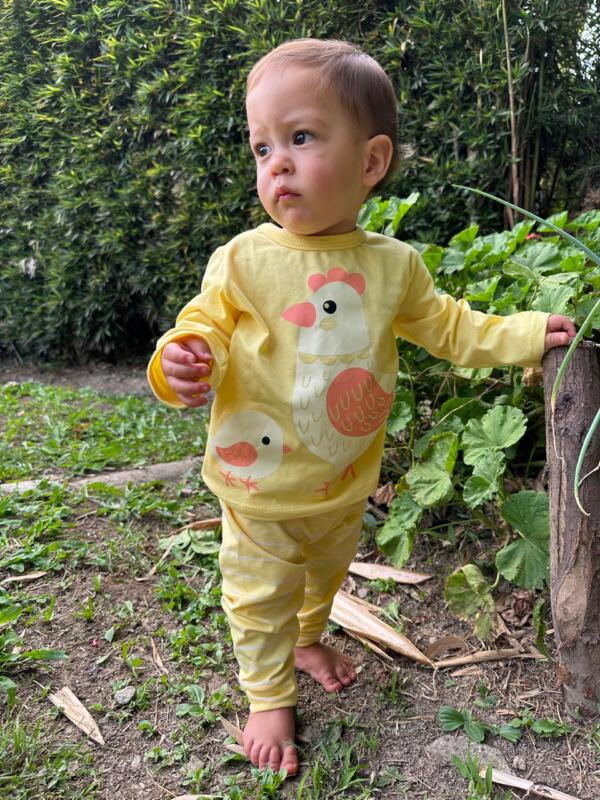 MULTIUSOS POLLITO - Image 3